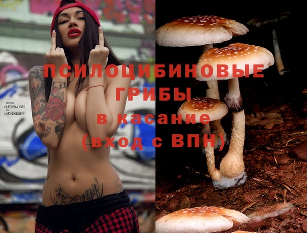 крисы Баксан
