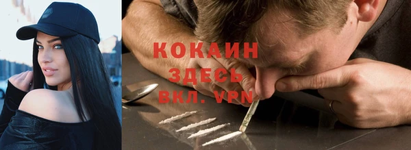 крисы Баксан