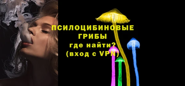 твердый Балахна