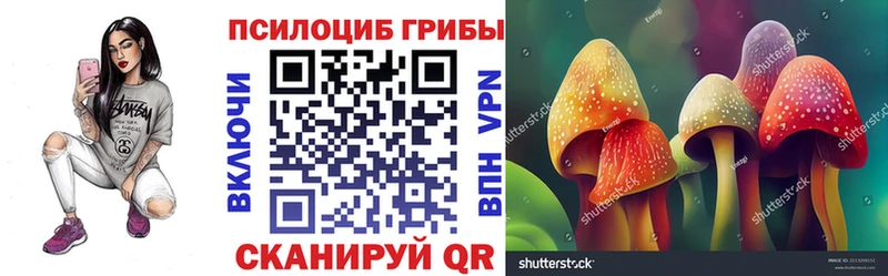 Галлюциногенные грибы GOLDEN TEACHER  Новоузенск 